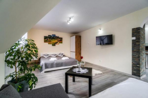 Apartament Polany